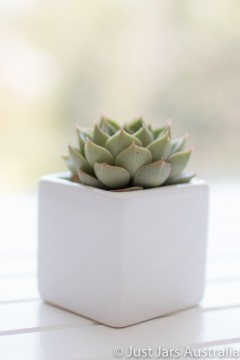 White planter pot (6cm cube)